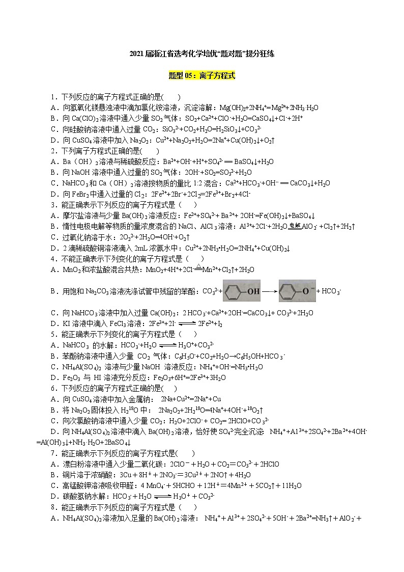 题型05：离子方程式-2021届浙江省选考化学培优“题对题”提分狂练01