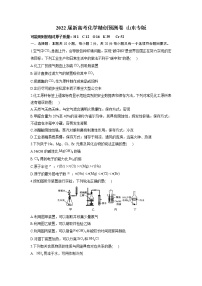 2022届新高考化学精创预测卷 山东专版