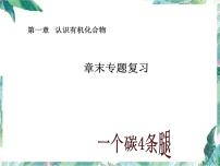 人教版  选修5 有机化学基础 专题复习课件PPT