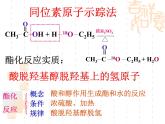 實驗活動1-乙酸乙酯的制取課件PPT