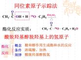 实验活动1-乙酸乙酯的制取课件PPT