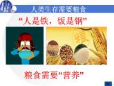 高中化学沪科 铵态氮肥氮肥那些事部优课件
