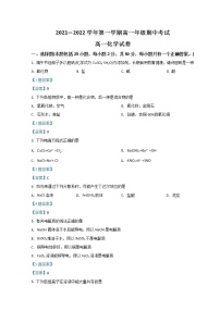 2022新疆生产建设兵团第二师八一中学高一上学期期中考试化学含答案