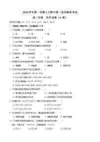 2018-2019学年上大附中高二上第一次月考化学试卷