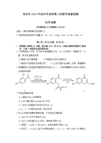 2022龙岩高三下学期第三次教学质量检测（三模）化学含答案