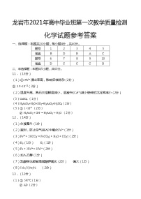 2021届福建省龙岩市高三下学期3月第一次教学质量检测化学试题 PDF版