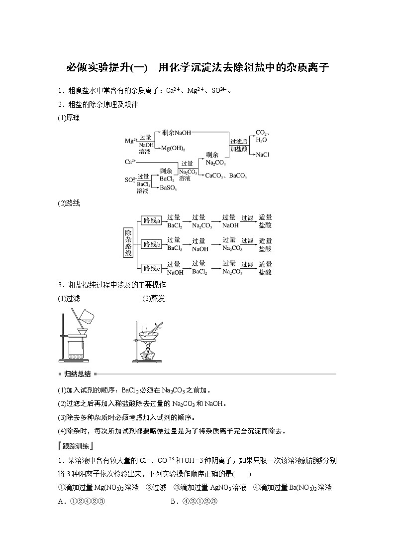 2023版步步高化学一轮复习讲义第3讲　必做实验提升(一)　用化学沉淀法去除粗盐中的杂质离子01