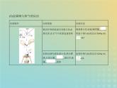 鲁科版高中化学必修第一册第1章认识化学科学第2节研究物质性质的方法和程序课件