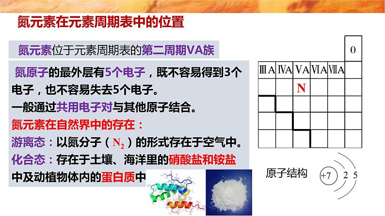 5.2.1氮气与氮的固定一氧化氮和二氧化氮性质课件人教版（2019）化学高一必修一 WJ化学研究院第5页