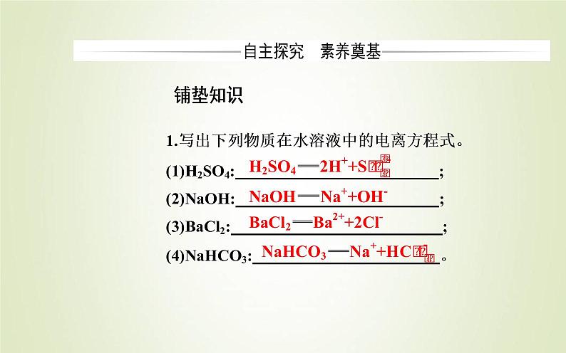 新人教版高中化学必修第一册第一章物质及其变化第二节课时2离子反应课件03