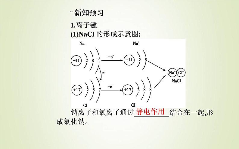 新人教版高中化学必修第一册第四章物质结构元素周期律第三节课时1离子键课件04