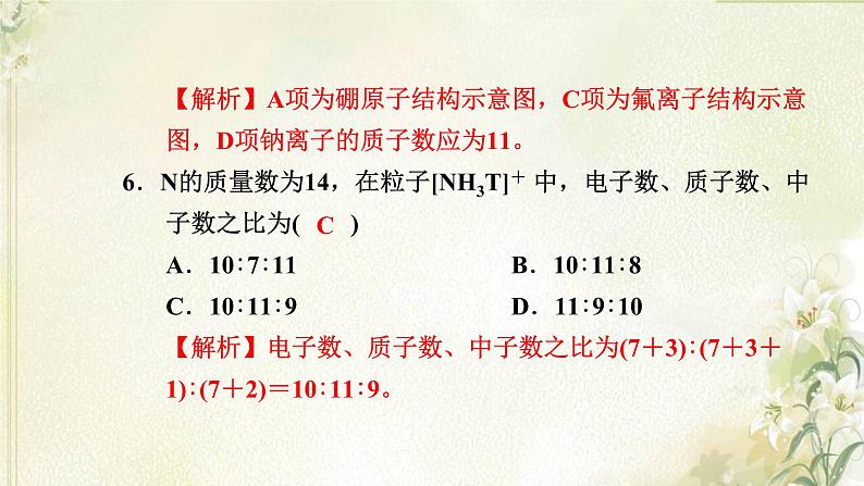 新人教版高中化学必修第一册第四章物质结构元素周期律高效作业18第1课时原子结构元素周期表核素课件08