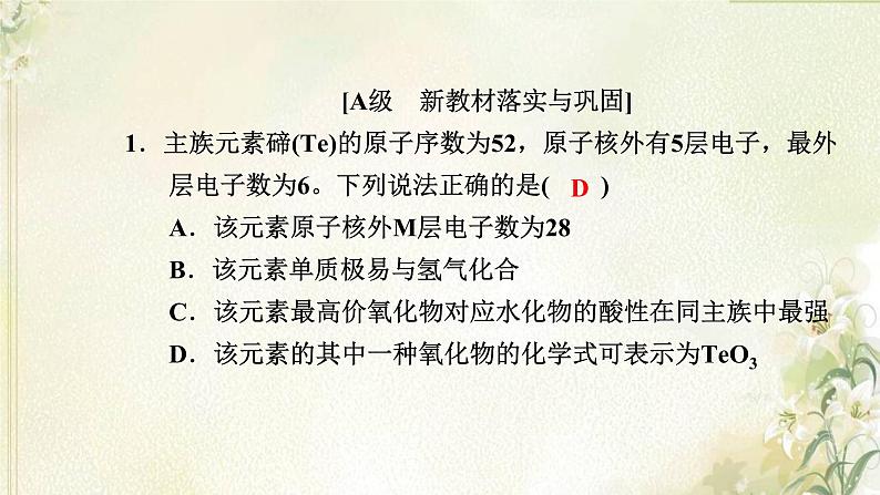 新人教版高中化学必修第一册第四章物质结构元素周期律高效作业19第2课时原子结构与元素的性质课件第2页