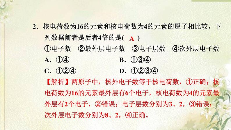 新人教版高中化学必修第一册第四章物质结构元素周期律高效作业20第1课时元素性质的周期性变化规律课件03