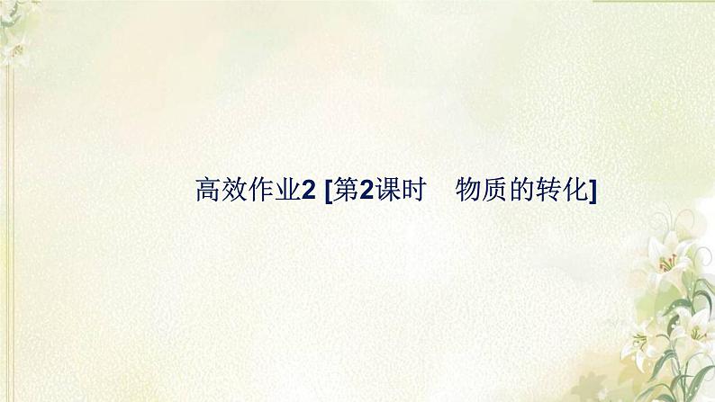 新人教版高中化学必修第一册第一章物质及其变化高效作业2第2课时物质的转化课件第1页