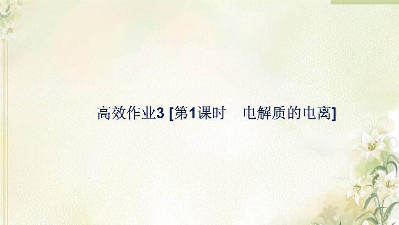 新人教版高中化学必修第一册第一章物质及其变化高效作业3第1课时电解质的电离课件第1页