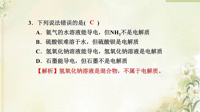 新人教版高中化学必修第一册第一章物质及其变化高效作业3第1课时电解质的电离课件第4页