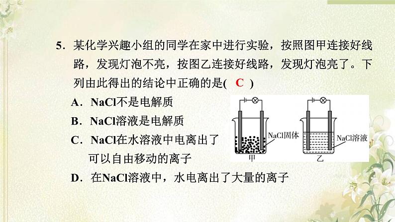 新人教版高中化学必修第一册第一章物质及其变化高效作业3第1课时电解质的电离课件第6页