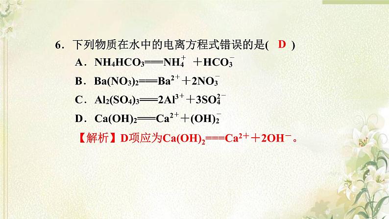 新人教版高中化学必修第一册第一章物质及其变化高效作业3第1课时电解质的电离课件第8页