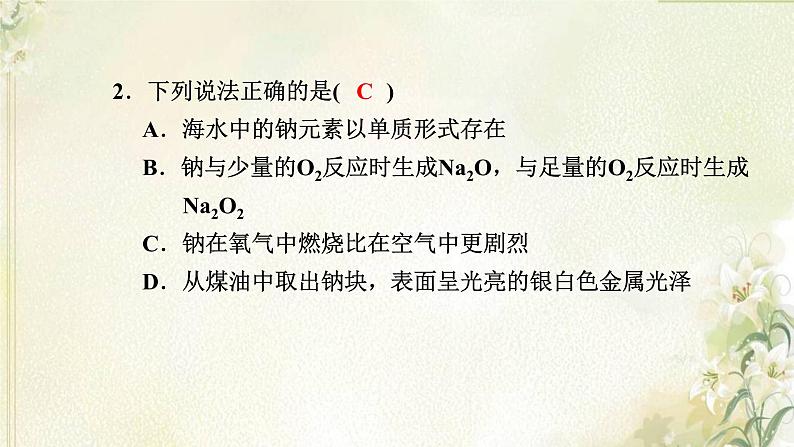 新人教版高中化学必修第一册第二章海水中的重要元素__钠和氯高效作业7第1课时钠及其氧化物课件03