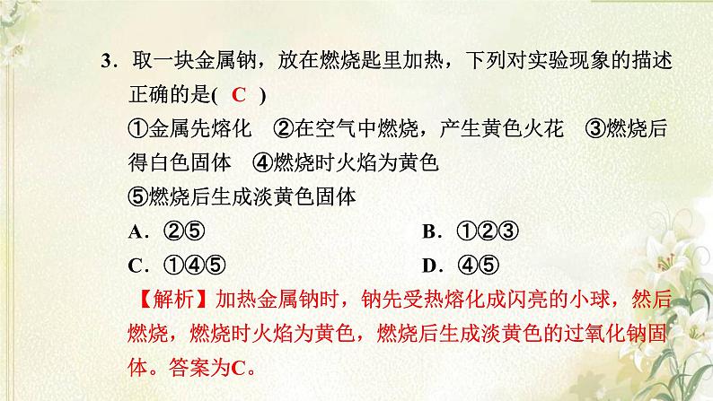 新人教版高中化学必修第一册第二章海水中的重要元素__钠和氯高效作业7第1课时钠及其氧化物课件05