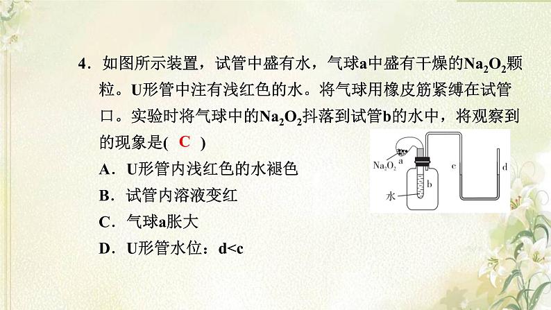 新人教版高中化学必修第一册第二章海水中的重要元素__钠和氯高效作业7第1课时钠及其氧化物课件06