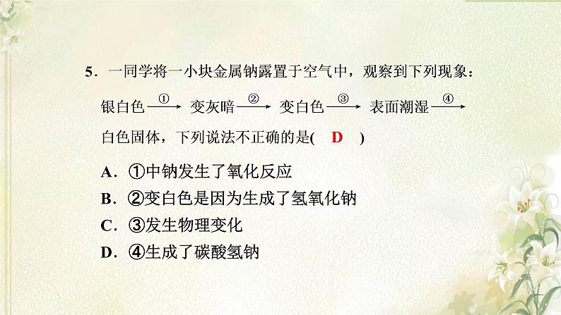 新人教版高中化学必修第一册第二章海水中的重要元素__钠和氯高效作业7第1课时钠及其氧化物课件08