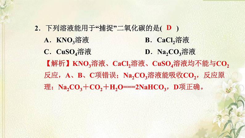 新人教版高中化学必修第一册第二章海水中的重要元素__钠和氯高效作业8第2课时碳酸钠和碳酸氢钠焰色试验课件03