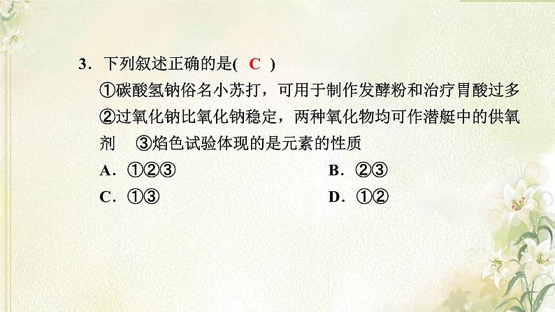 新人教版高中化学必修第一册第二章海水中的重要元素__钠和氯高效作业8第2课时碳酸钠和碳酸氢钠焰色试验课件04