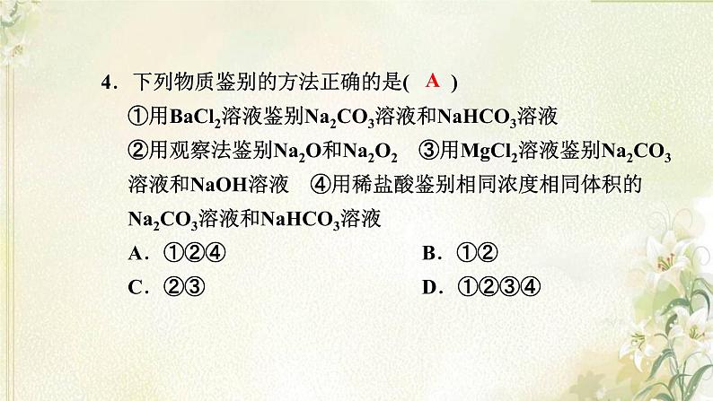 新人教版高中化学必修第一册第二章海水中的重要元素__钠和氯高效作业8第2课时碳酸钠和碳酸氢钠焰色试验课件06