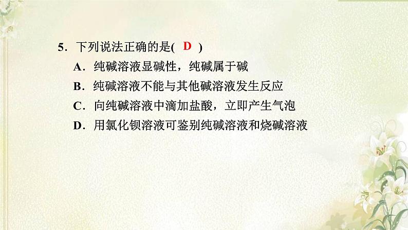 新人教版高中化学必修第一册第二章海水中的重要元素__钠和氯高效作业8第2课时碳酸钠和碳酸氢钠焰色试验课件08