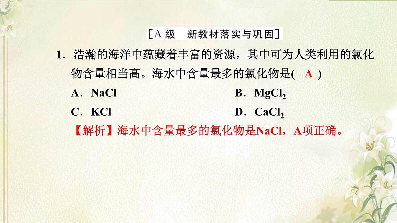 新人教版高中化学必修第一册第二章海水中的重要元素__钠和氯高效作业9第1课时氯气的性质课件第2页