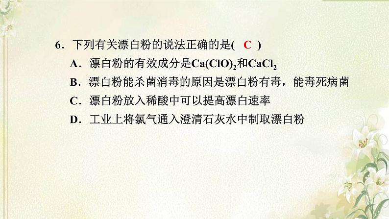 新人教版高中化学必修第一册第二章海水中的重要元素__钠和氯高效作业9第1课时氯气的性质课件第8页