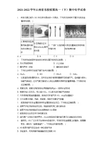 2021-2022学年云南省名校联盟高一（下）期中化学试卷