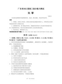 2021届广东省高三上学期12月综合能力测试化学试卷 PDF版