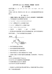 2021衡水安平中学高一下学期第一次月考化学试题含答案