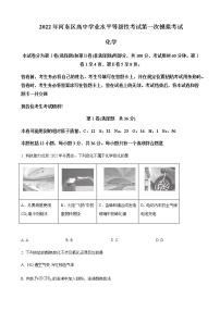 2022届天津市河东区高三下学期第一次模拟考试化学试题含答案