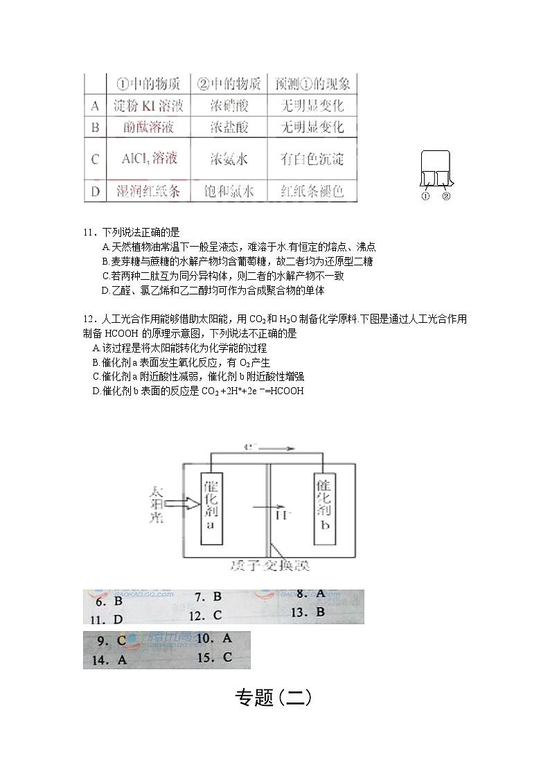 高考化学选题专项（四）第2页