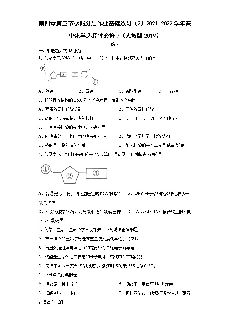 第四章第三节核酸分层作业基础练习（2）2021_2022学年高中化学选择性必修3（人教版2019）01