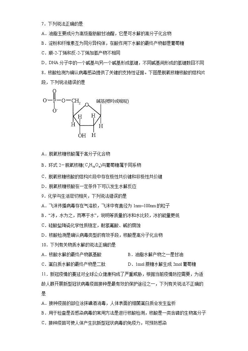 第四章第三节核酸分层作业基础练习（2）2021_2022学年高中化学选择性必修3（人教版2019）02