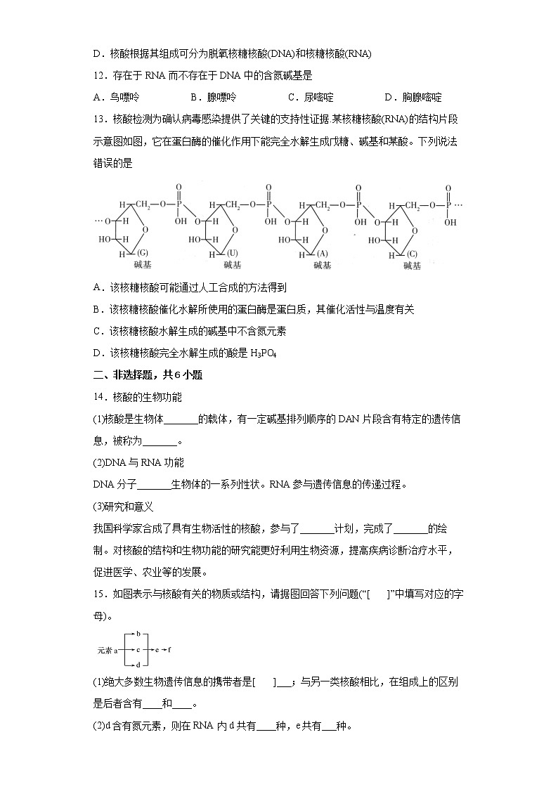 第四章第三节核酸分层作业基础练习（2）2021_2022学年高中化学选择性必修3（人教版2019）03