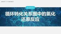 第一章　化学物质及其变化 专项特训1　循环转化关系图中的氧化还原反应