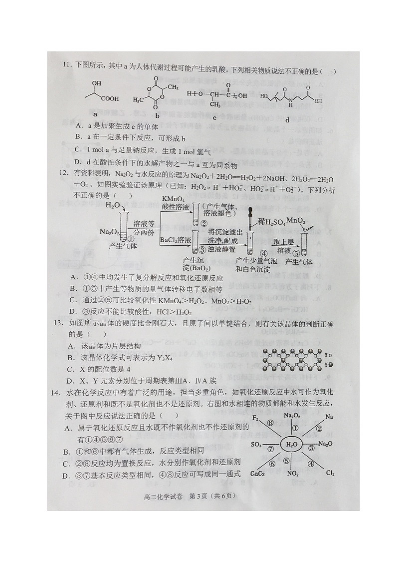 2021沈阳郊联体高二下学期期末考试化学试题扫描版缺答案第3页