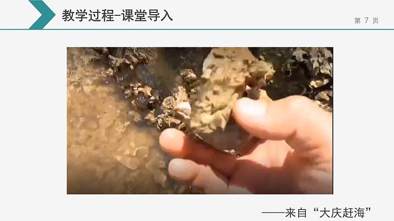 8.1.2自然资源的开发利用-第2课时海水资源的开发利用课件-下学期高一化学人教版（2019）必修第二册07