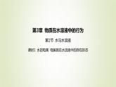 魯科版高中化學(xué)選擇性必修第一冊第3章物質(zhì)在水溶液中的行為第1節(jié)水與水溶液課時1水的電離電解質(zhì)在水溶液中的存在形態(tài)課件