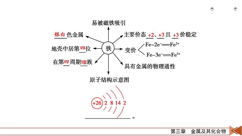 第7讲　铁及其重要化合物第7页