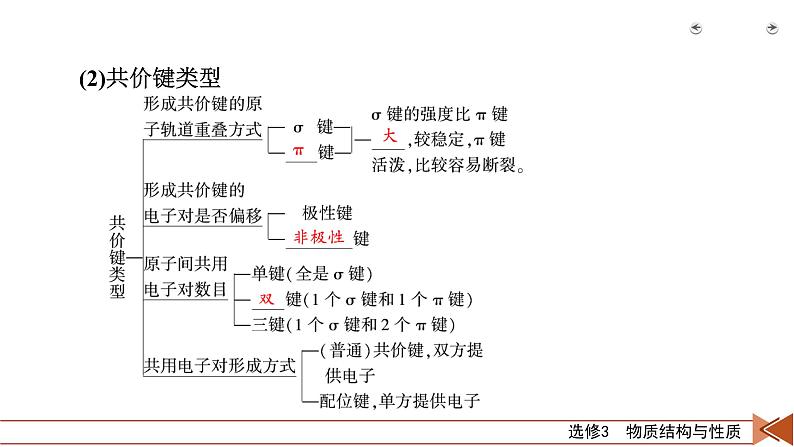 第31讲　分子结构与性质第8页