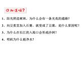 新人教版必修第一册第一章第一节物质的分类（第二课时）（2019） 课件
