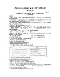 2021武汉高三下学期4月质量检测化学试题含答案