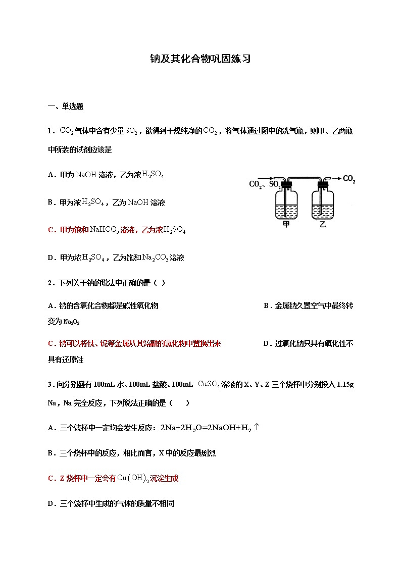 2.1钠及其化合物 巩固练习-浙江大学附属中学高中化学人教版（2019）必修第一册第1页